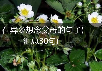 在异乡想念父母的句子(汇总30句)