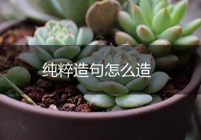 纯粹造句怎么造
