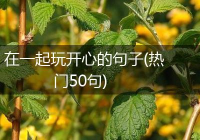 在一起玩开心的句子(热门50句)