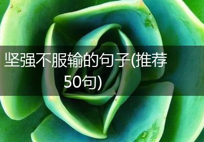 坚强不服输的句子(推荐50句)