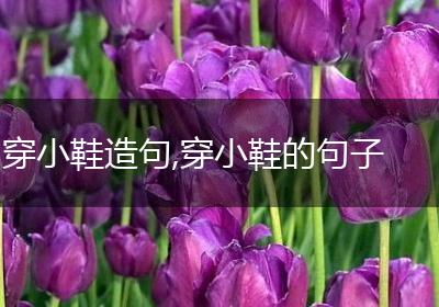 穿小鞋造句,穿小鞋的句子