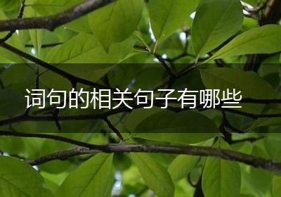词句的相关句子有哪些