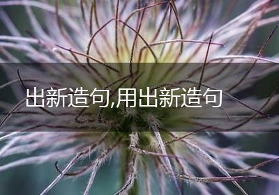 出新造句,用出新造句