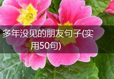 多年没见的朋友句子(实用50句)