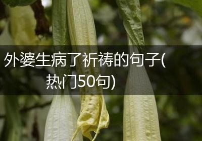 外婆生病了祈祷的句子(热门50句)