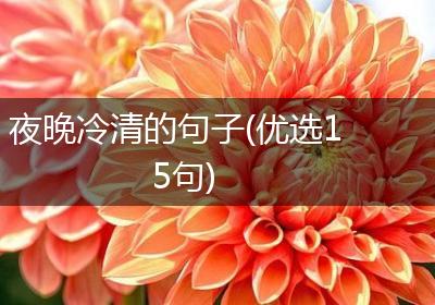 夜晚冷清的句子(优选15句)