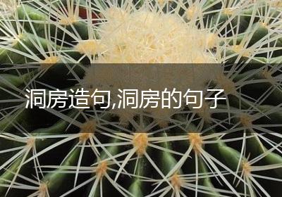 洞房造句,洞房的句子
