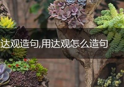 达观造句,用达观怎么造句