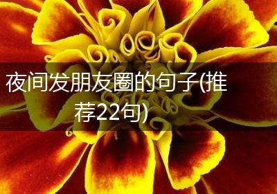 夜间发朋友圈的句子(推荐22句)