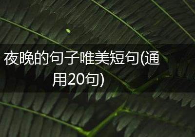 夜晚的句子唯美短句(通用20句)