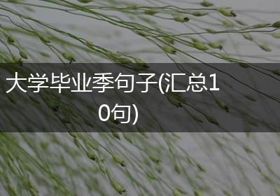 大学毕业季句子(汇总10句)
