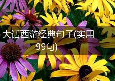 大话西游经典句子(实用99句)