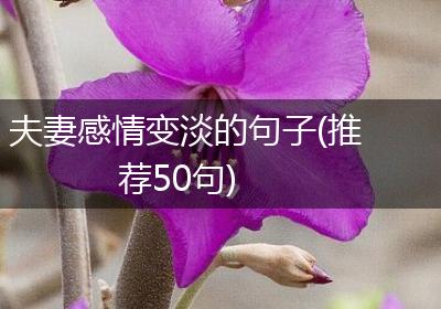 夫妻感情变淡的句子(推荐50句)