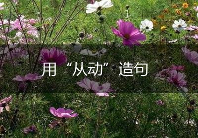 用“从动”造句