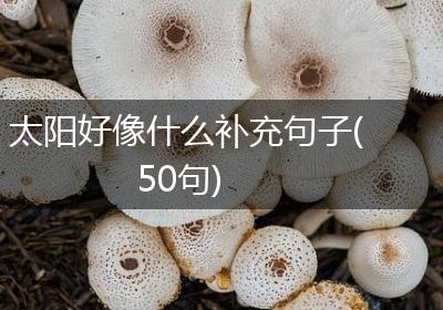 太阳好像什么补充句子(50句)