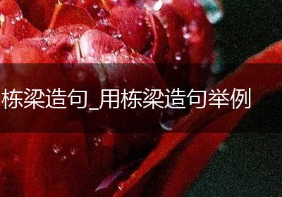 栋梁造句_用栋梁造句举例