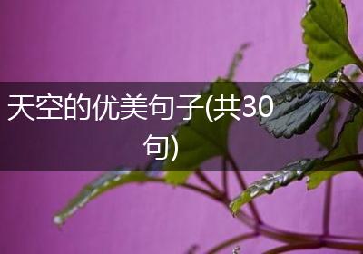 天空的优美句子(共30句)