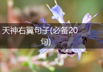 天神右翼句子(必备20句)