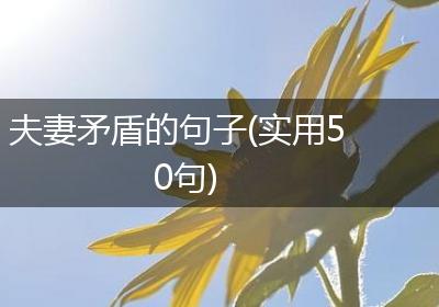 夫妻矛盾的句子(实用50句)