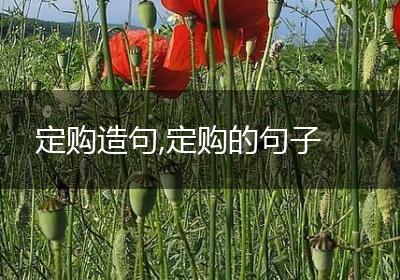 定购造句,定购的句子