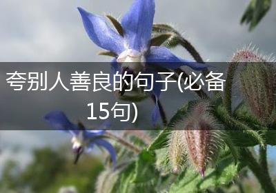 夸别人善良的句子(必备15句)