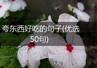 夸东西好吃的句子(优选50句)