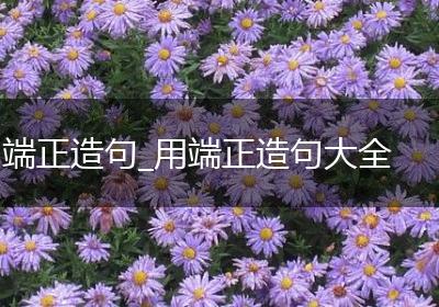 端正造句_用端正造句大全