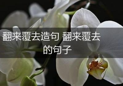 翻来覆去造句 翻来覆去的句子