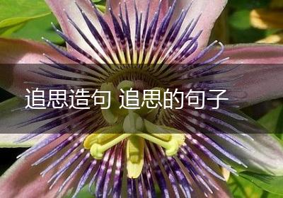 追思造句 追思的句子