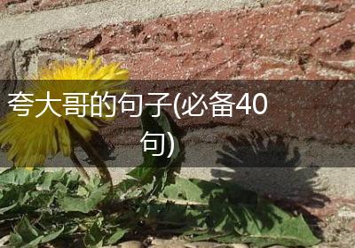 夸大哥的句子(必备40句)