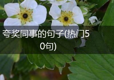 夸奖同事的句子(热门50句)