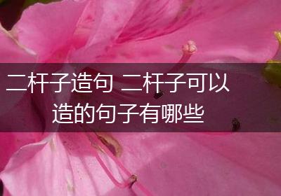 二杆子造句 二杆子可以造的句子有哪些