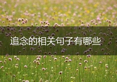 追念的相关句子有哪些