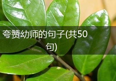 夸赞幼师的句子(共50句)
