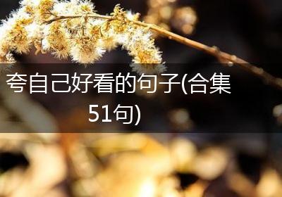 夸自己好看的句子(合集51句)
