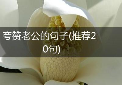 夸赞老公的句子(推荐20句)