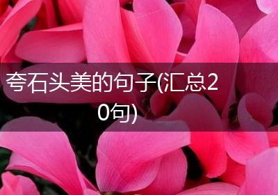 夸石头美的句子(汇总20句)