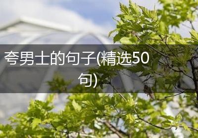 夸男士的句子(精选50句)