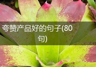 夸赞产品好的句子(80句)