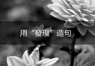 用“發現”造句