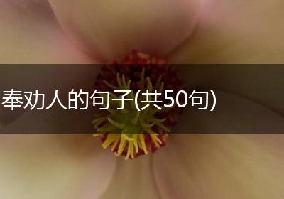 奉劝人的句子(共50句)
