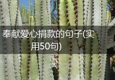 奉献爱心捐款的句子(实用50句)