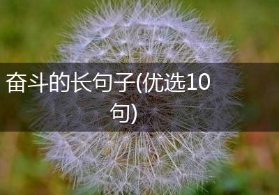 奋斗的长句子(优选10句)