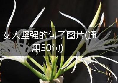 女人坚强的句子图片(通用50句)