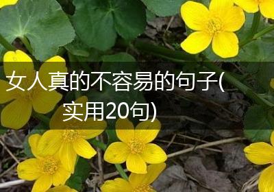 女人真的不容易的句子(实用20句)
