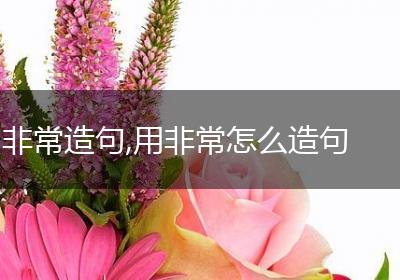 非常造句,用非常怎么造句