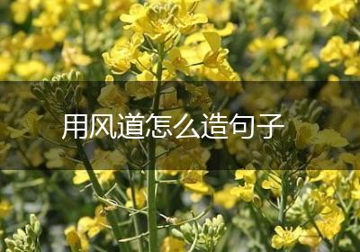 用风道怎么造句子