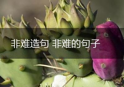 非难造句 非难的句子