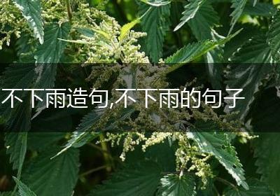不下雨造句,不下雨的句子