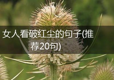 女人看破红尘的句子(推荐20句)